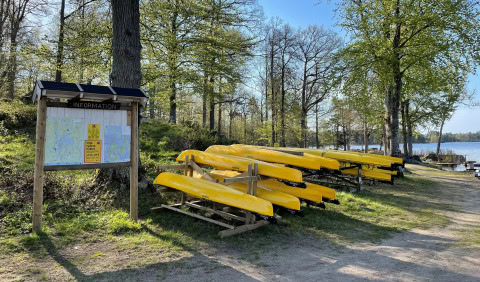 Aktiviteter generalt