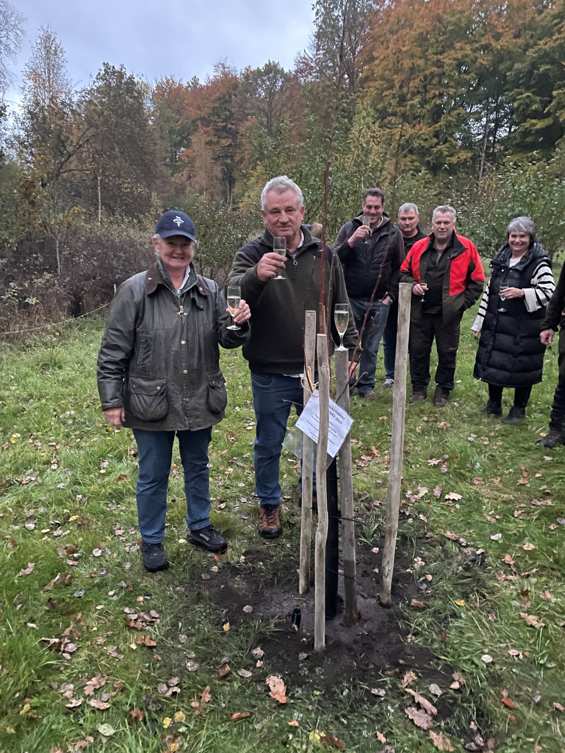 Stamgästernas Äppelträd Claus Nielsson, OKt- 2025