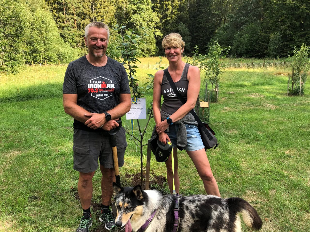 ggab-appletree-2024-09