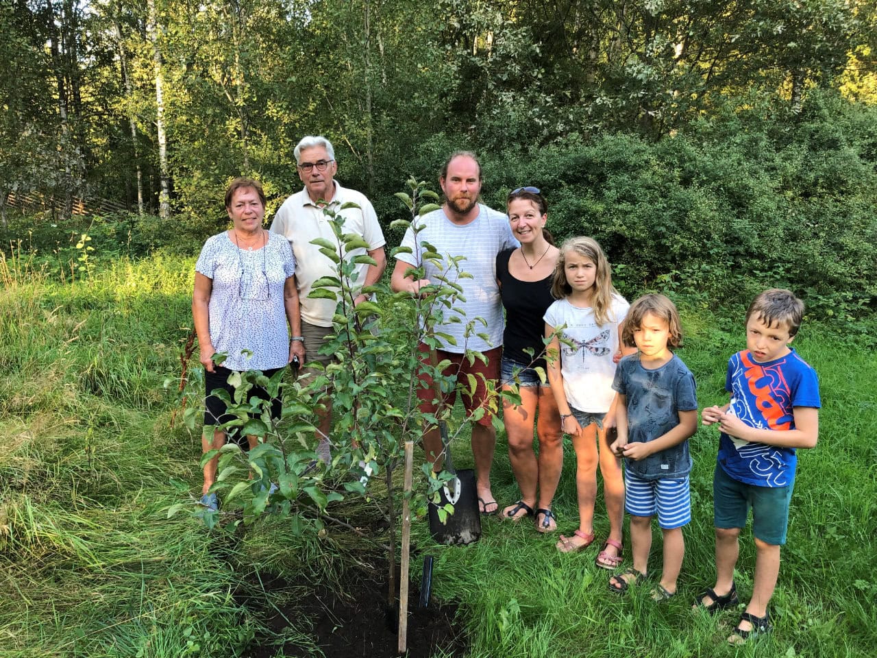 ggab-appletree-2024-11