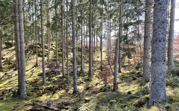ggab_guided_tours_vorlage ggab_guided_tours_vorlage