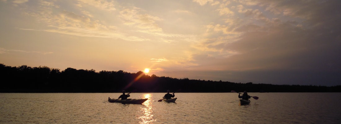 header_1100x400_04 header_1100x400_04
